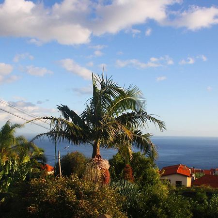 Apartmán Lugar Dos Louros 2 Estreito Da Calheta Exteriér fotografie