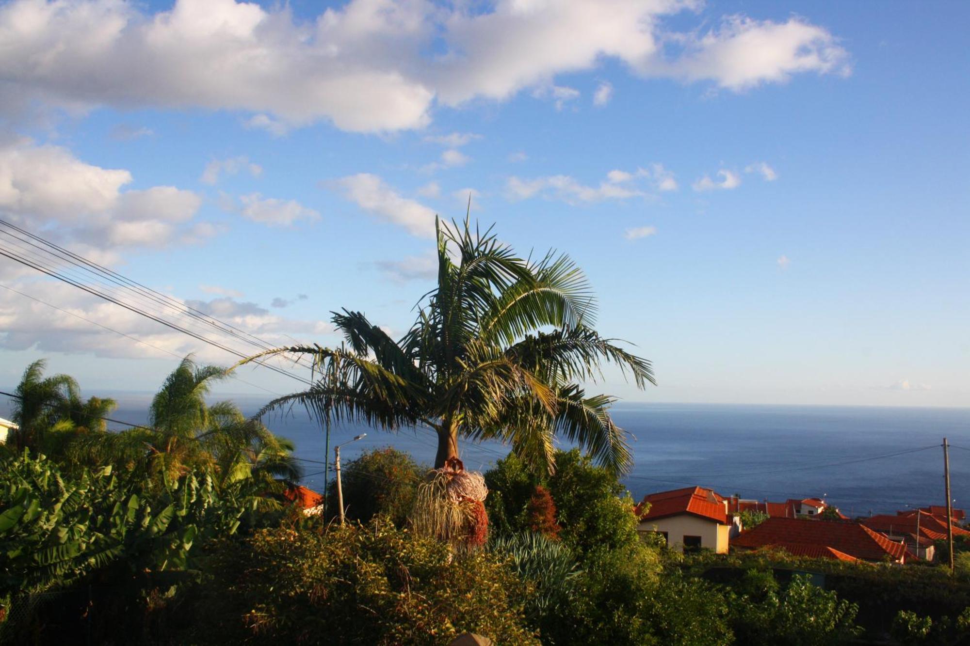 Apartmán Lugar Dos Louros 2 Estreito Da Calheta Exteriér fotografie