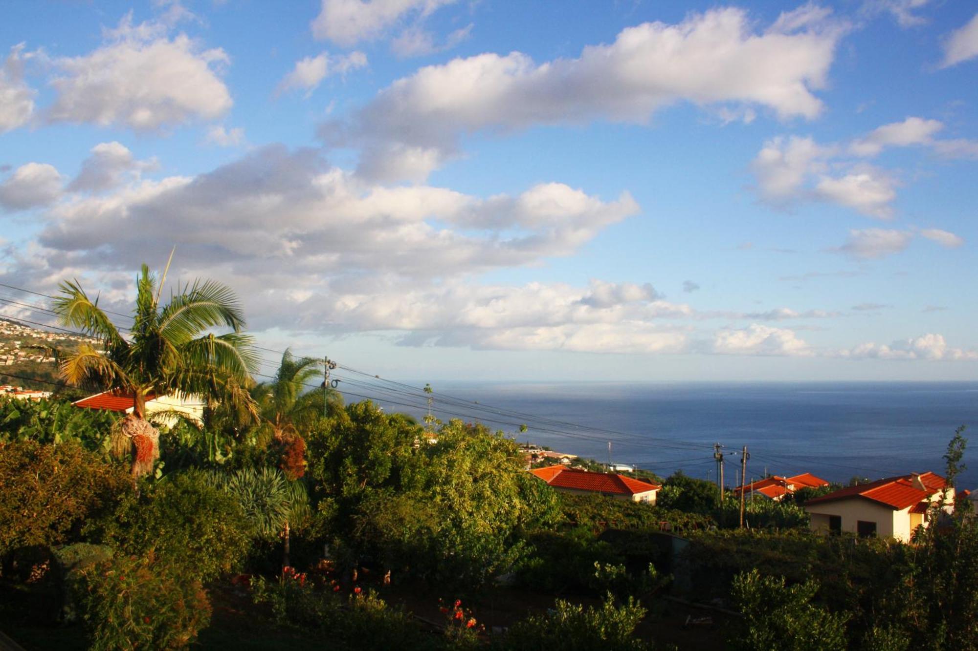 Apartmán Lugar Dos Louros 2 Estreito Da Calheta Exteriér fotografie