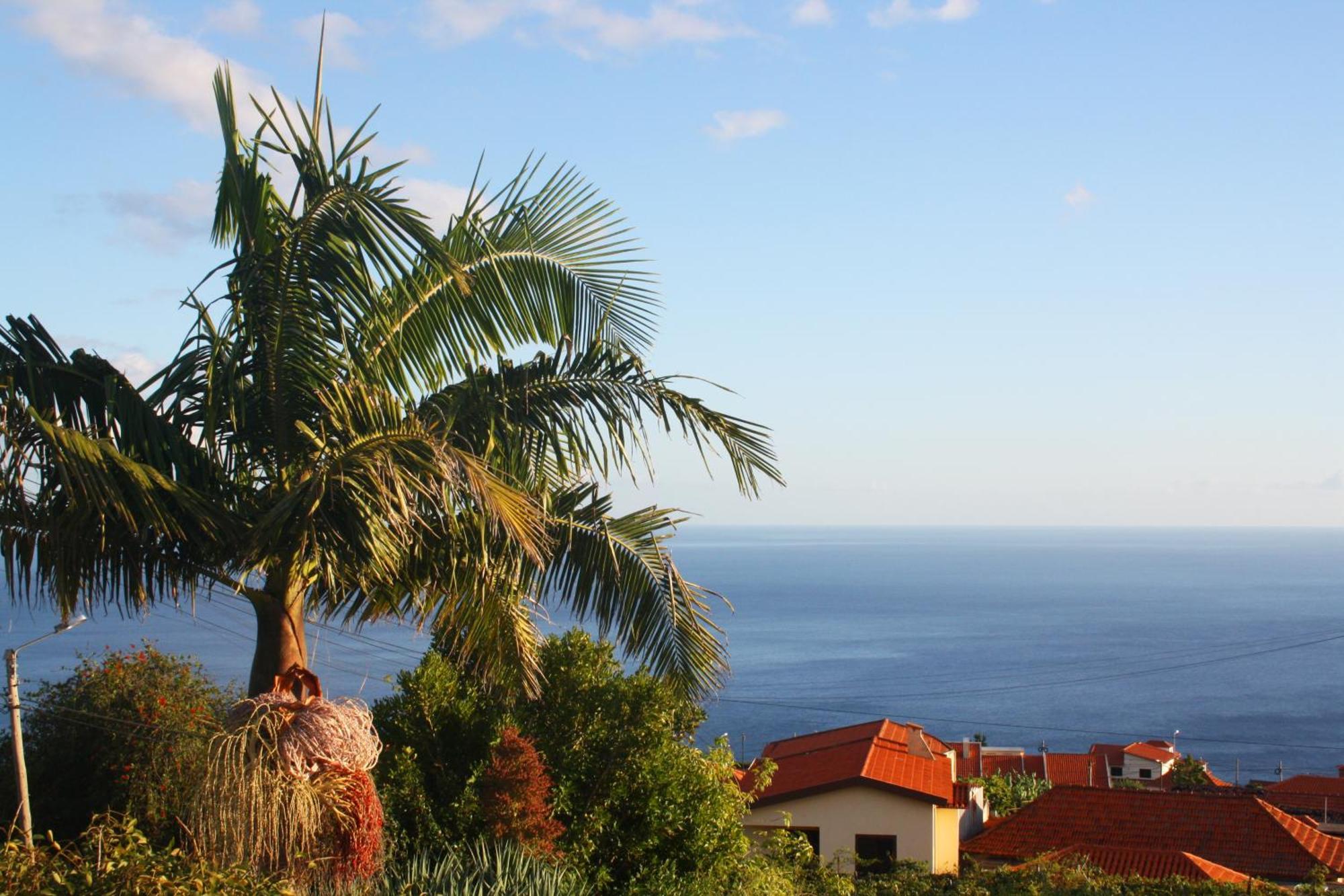 Apartmán Lugar Dos Louros 2 Estreito Da Calheta Exteriér fotografie
